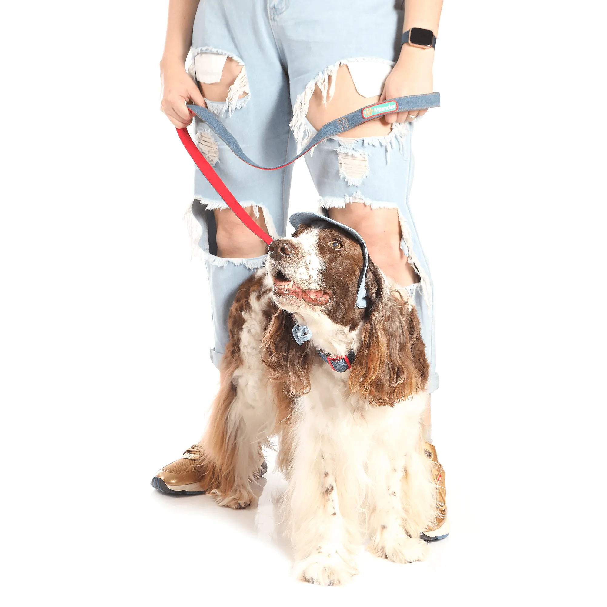 Denim Dog Leash 4ft. long
