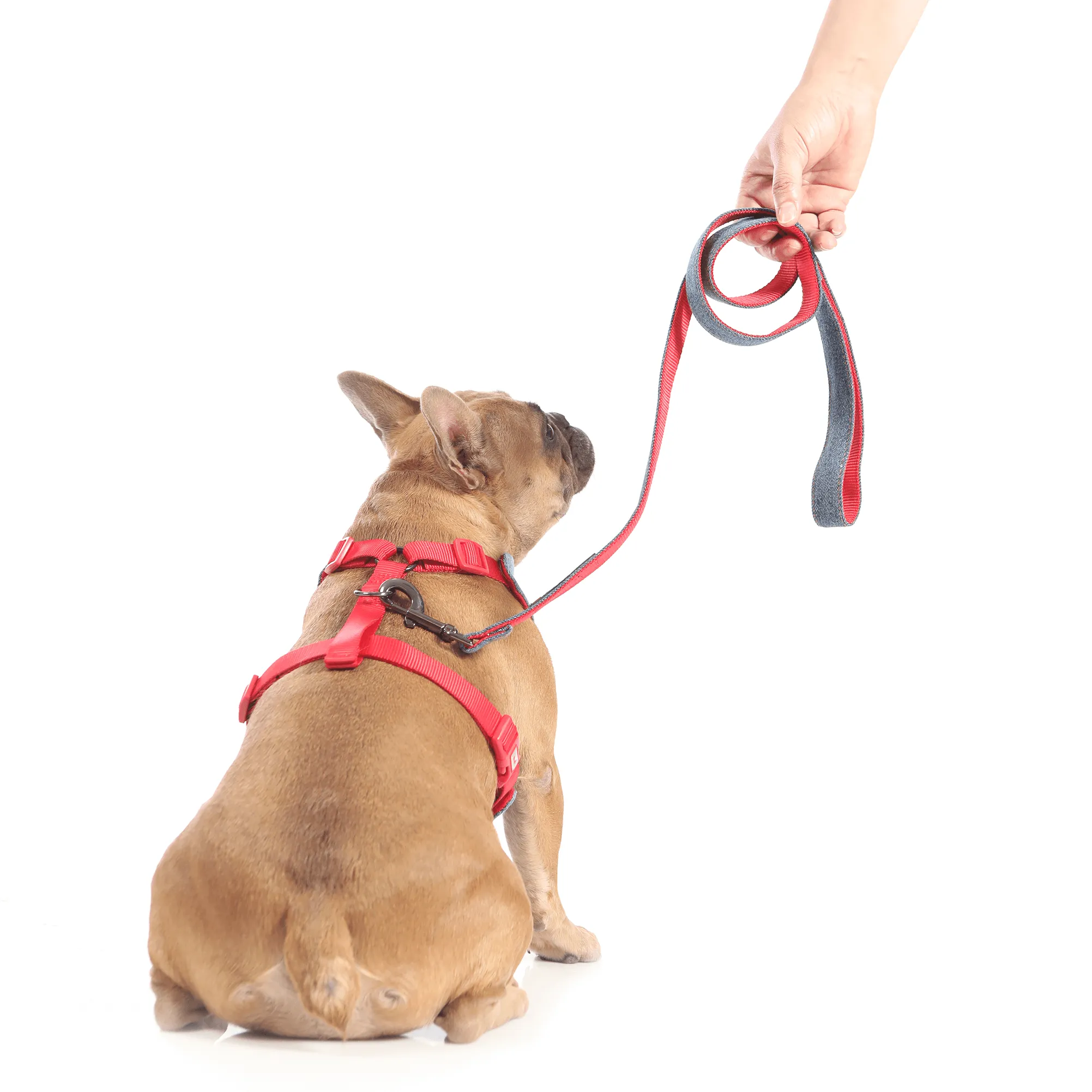 Denim Dog Leash 4ft. long