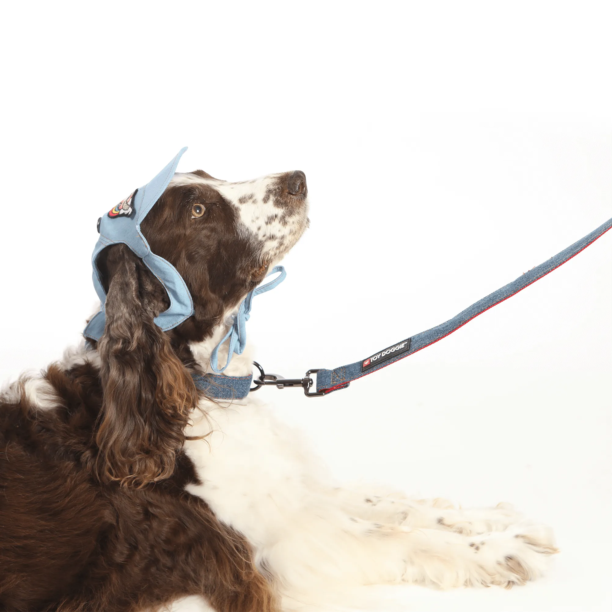Denim Dog Leash 4ft. long