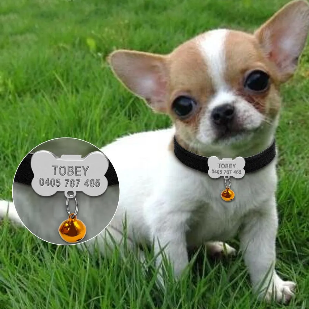 Dog's Engraved Personalized Collars