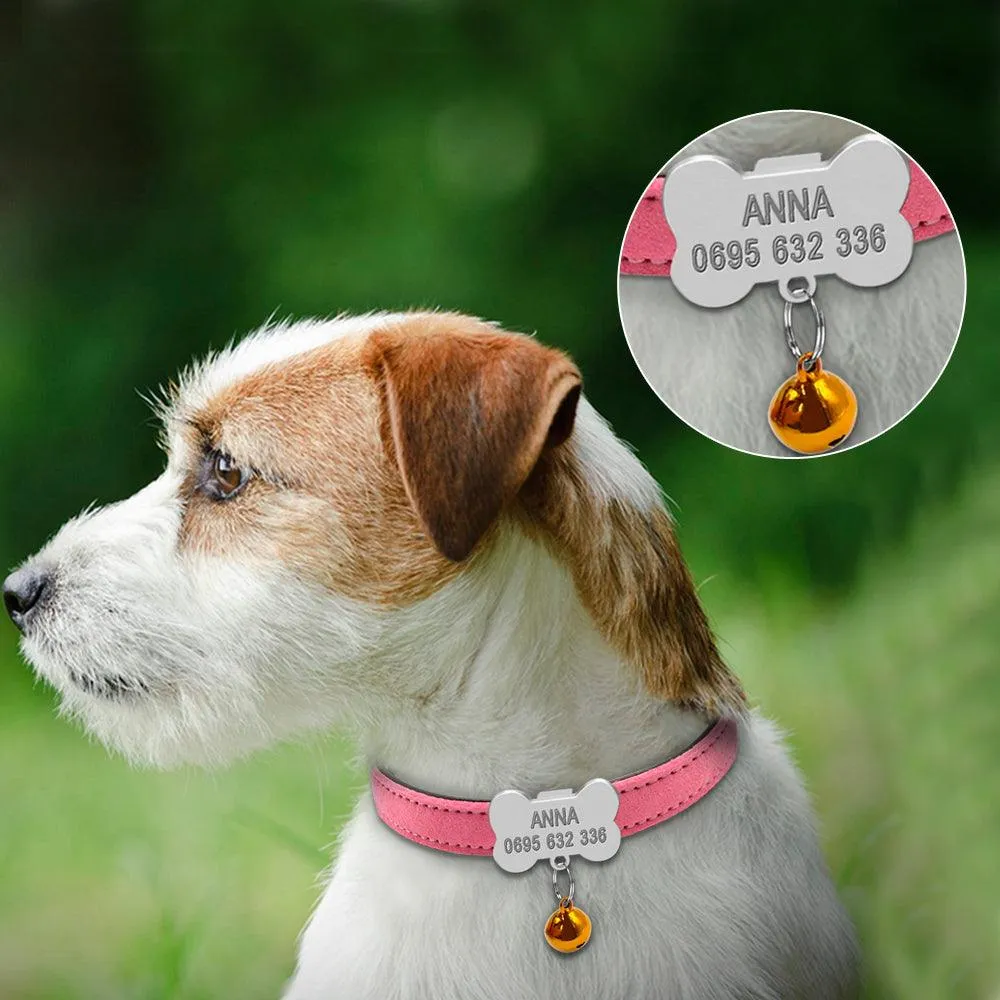Dog's Engraved Personalized Collars
