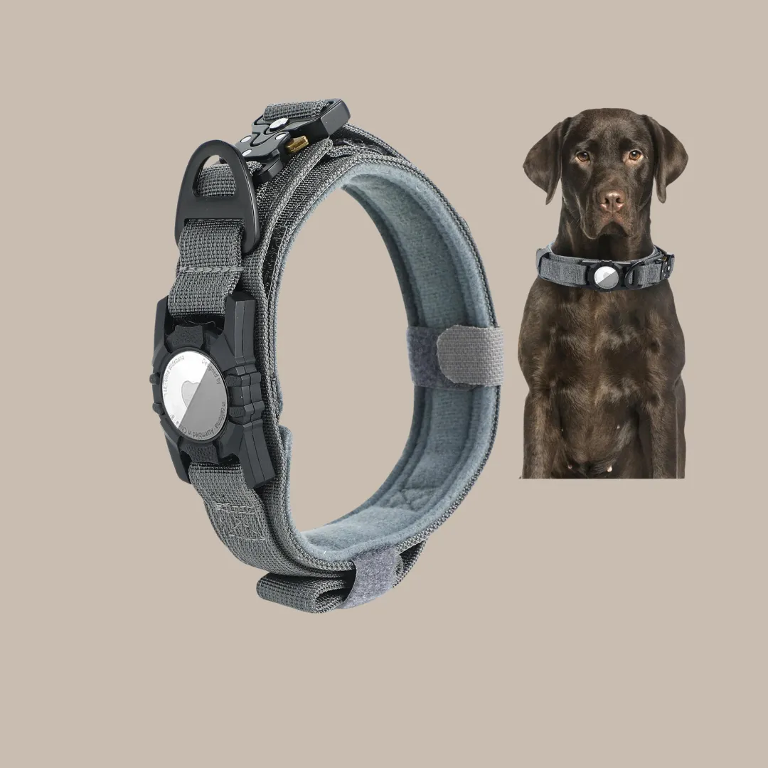 Military Dog GPS