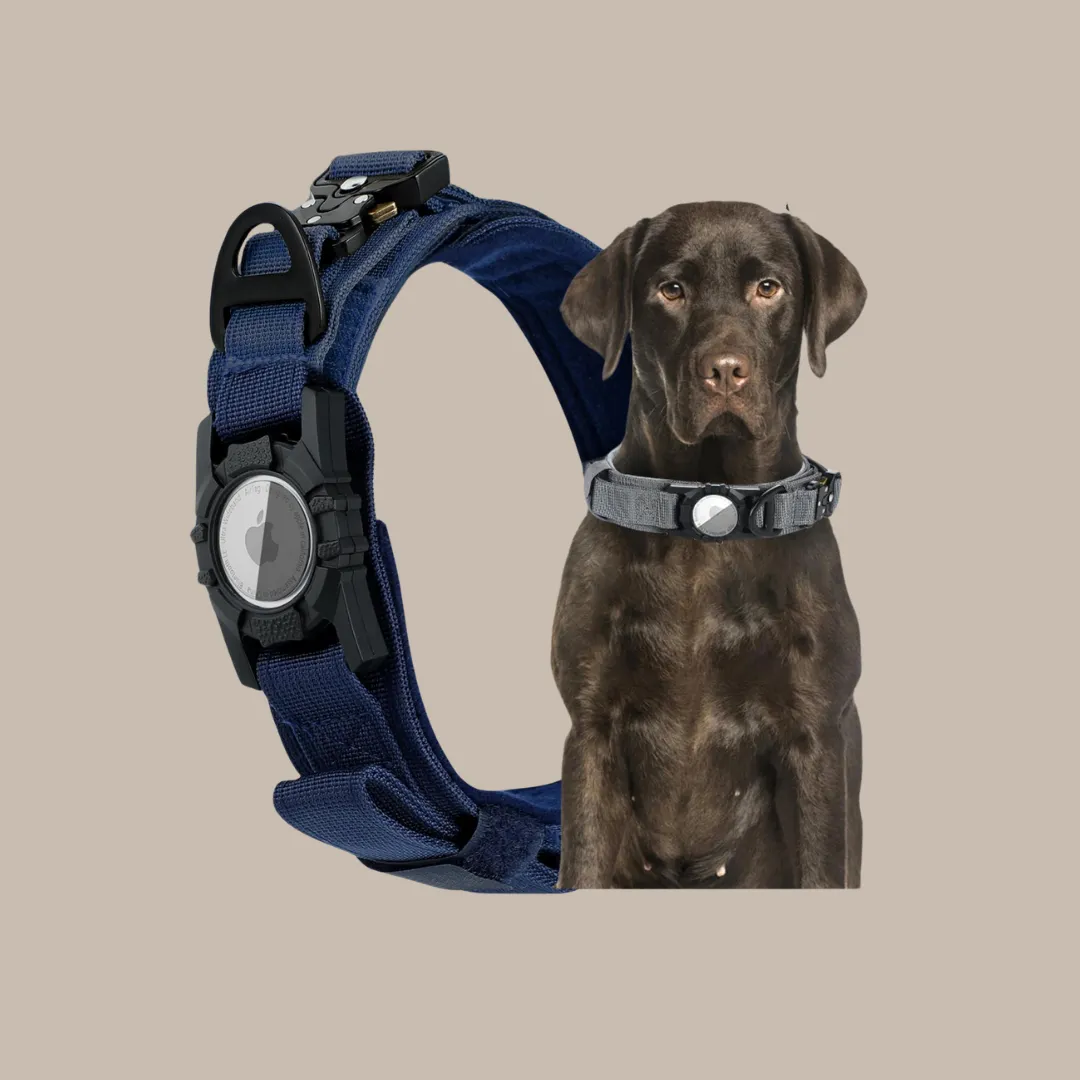 Military Dog GPS