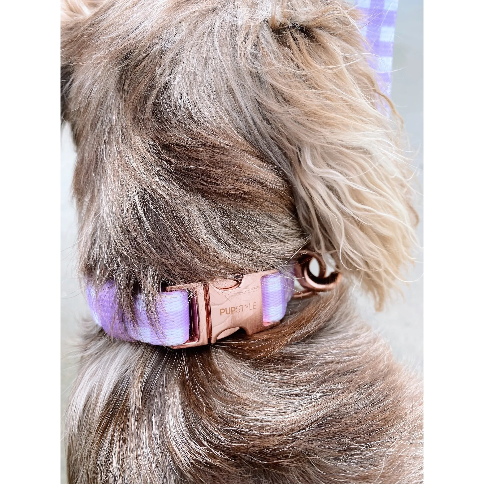 Pupstyle Suburban Berry Milkshake Dog Collar Extra Small