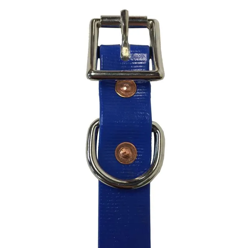 Tts Pvc Dog Collar 1 Inch Wide 34-47Cm