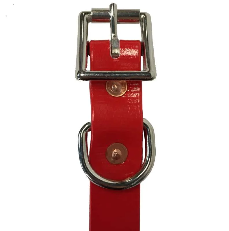 Tts Pvc Dog Collar 1 Inch Wide 34-47Cm