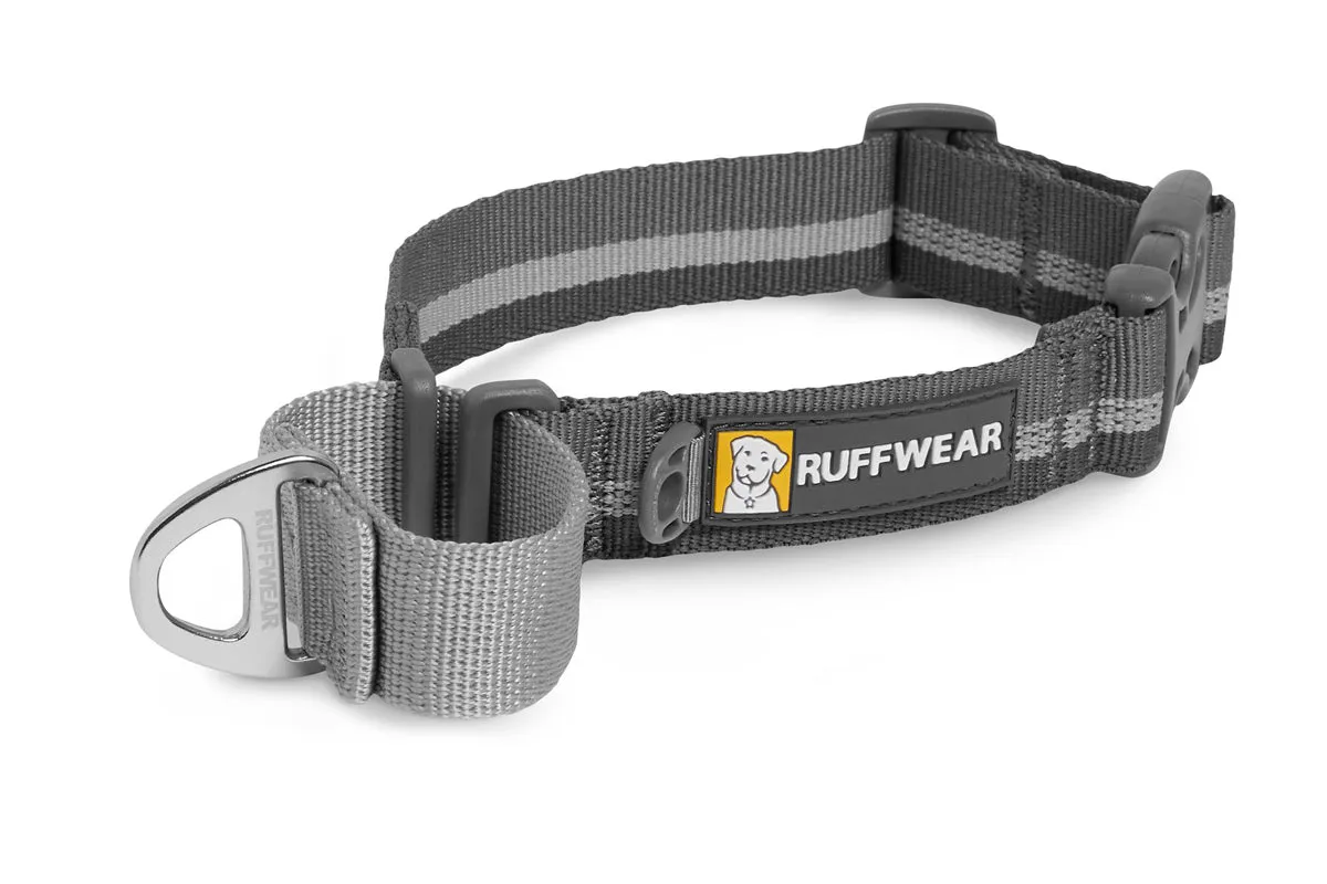 Web Reaction Collar Granite Gray